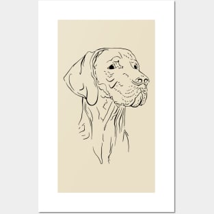 Weimaraner Posters and Art